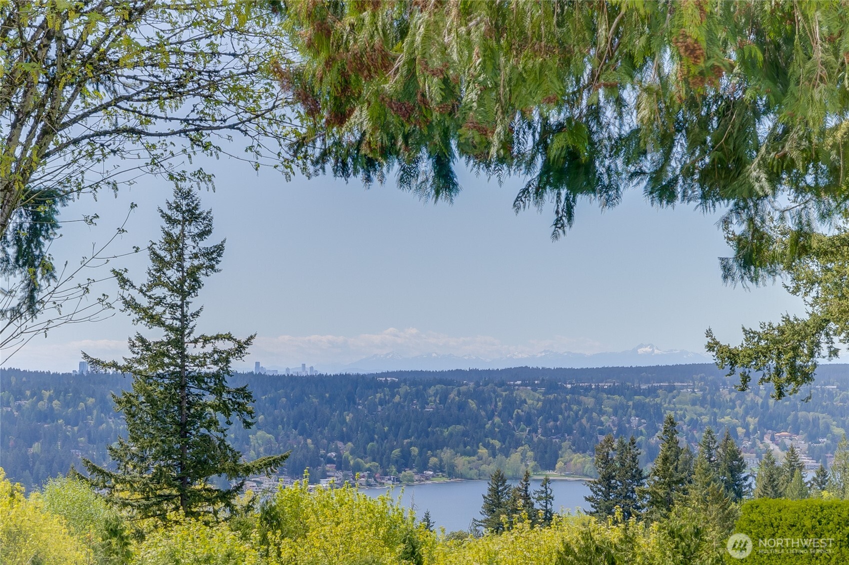 20230 NE 38th Court , Sammamish, WA 98074