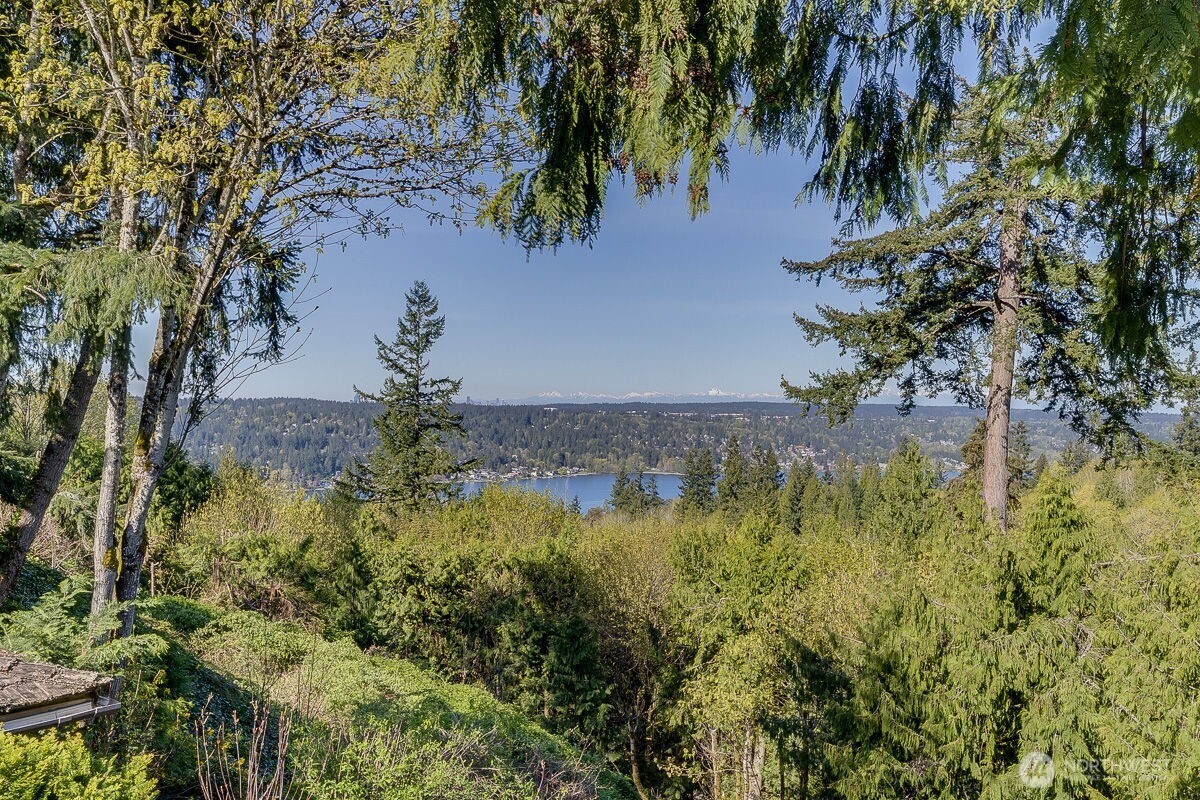 20230 NE 38th Court , Sammamish, WA 98074