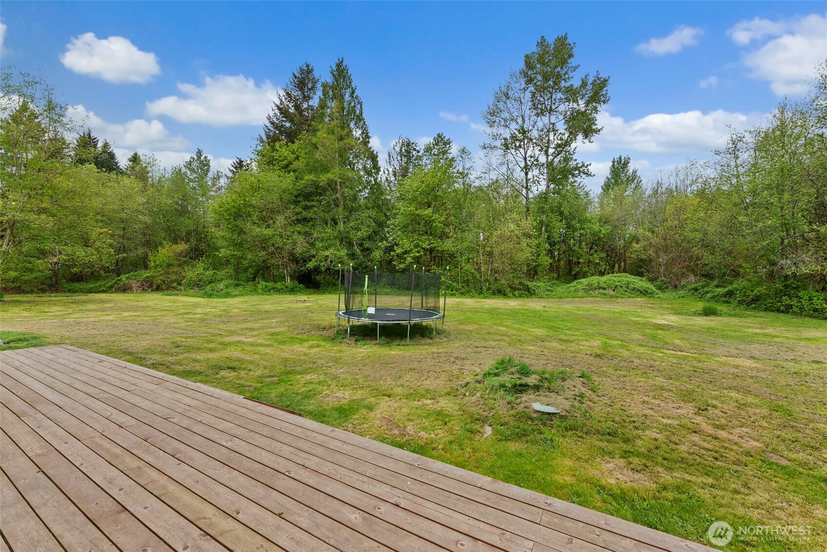 11215 180th Lane SW, Rochester, WA 98584-1126