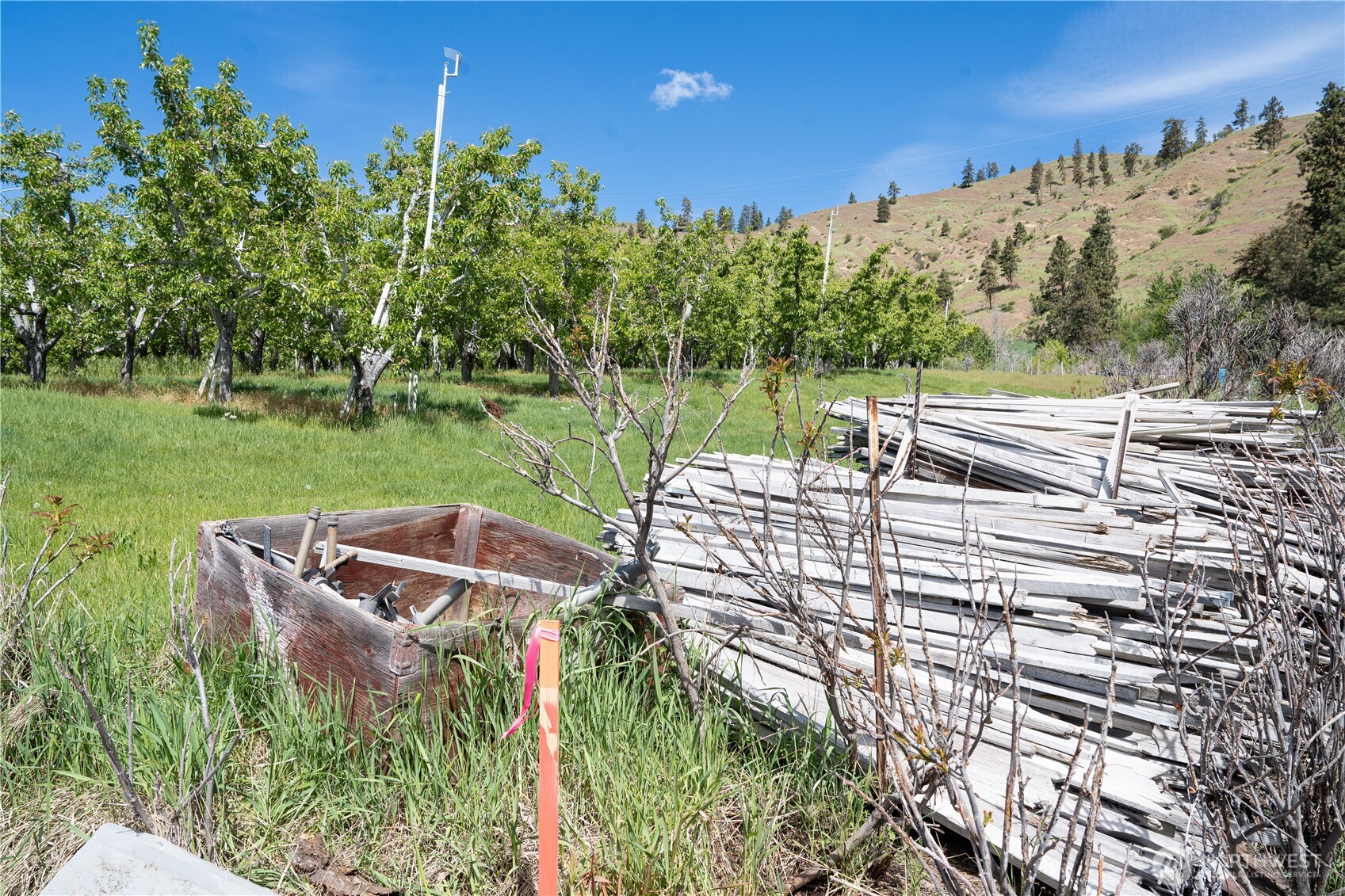1 Sunburst Lane , Cashmere, WA 98815