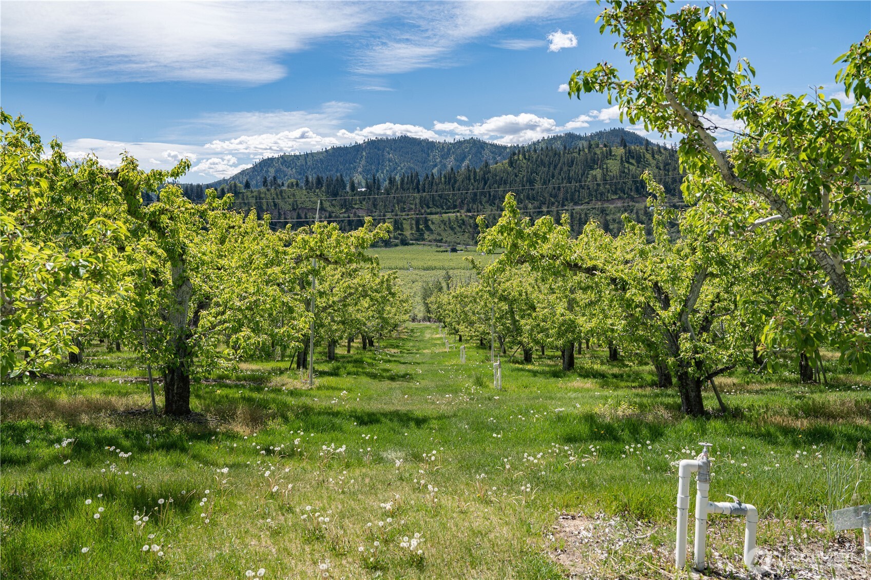 1 Sunburst Lane , Cashmere, WA 98815
