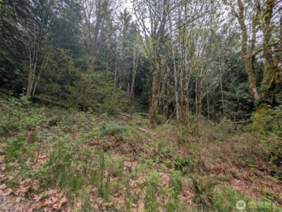 0 xxxxx , Baring, WA 98224 - Photo 10