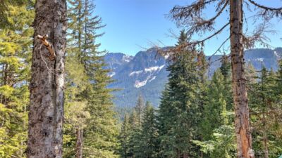 160 Innsbruck Drive , Snoqualmie Pass, WA 98068 - Photo 34