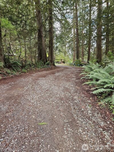 2085 Butler Creek Road , Sedro Woolley, WA 98284 - Photo 6