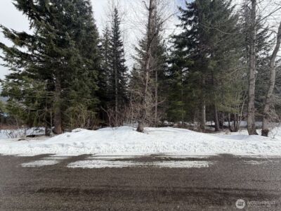 129 Chamonix Place , Snoqualmie Pass, WA 98068 - Photo 4