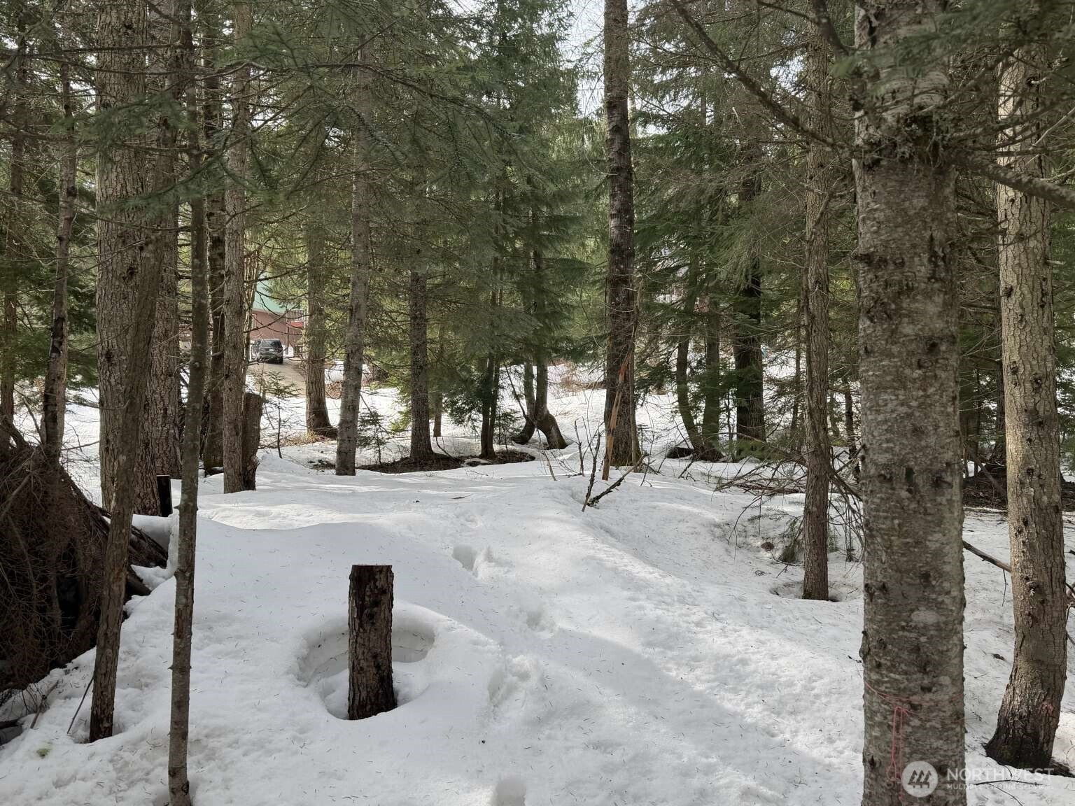 129 Chamonix Place , Snoqualmie Pass, WA 98068