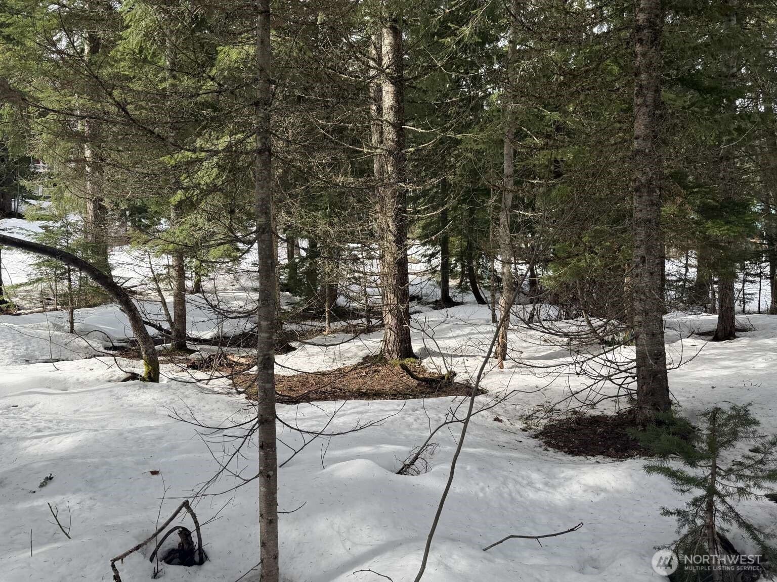 129 Chamonix Place , Snoqualmie Pass, WA 98068