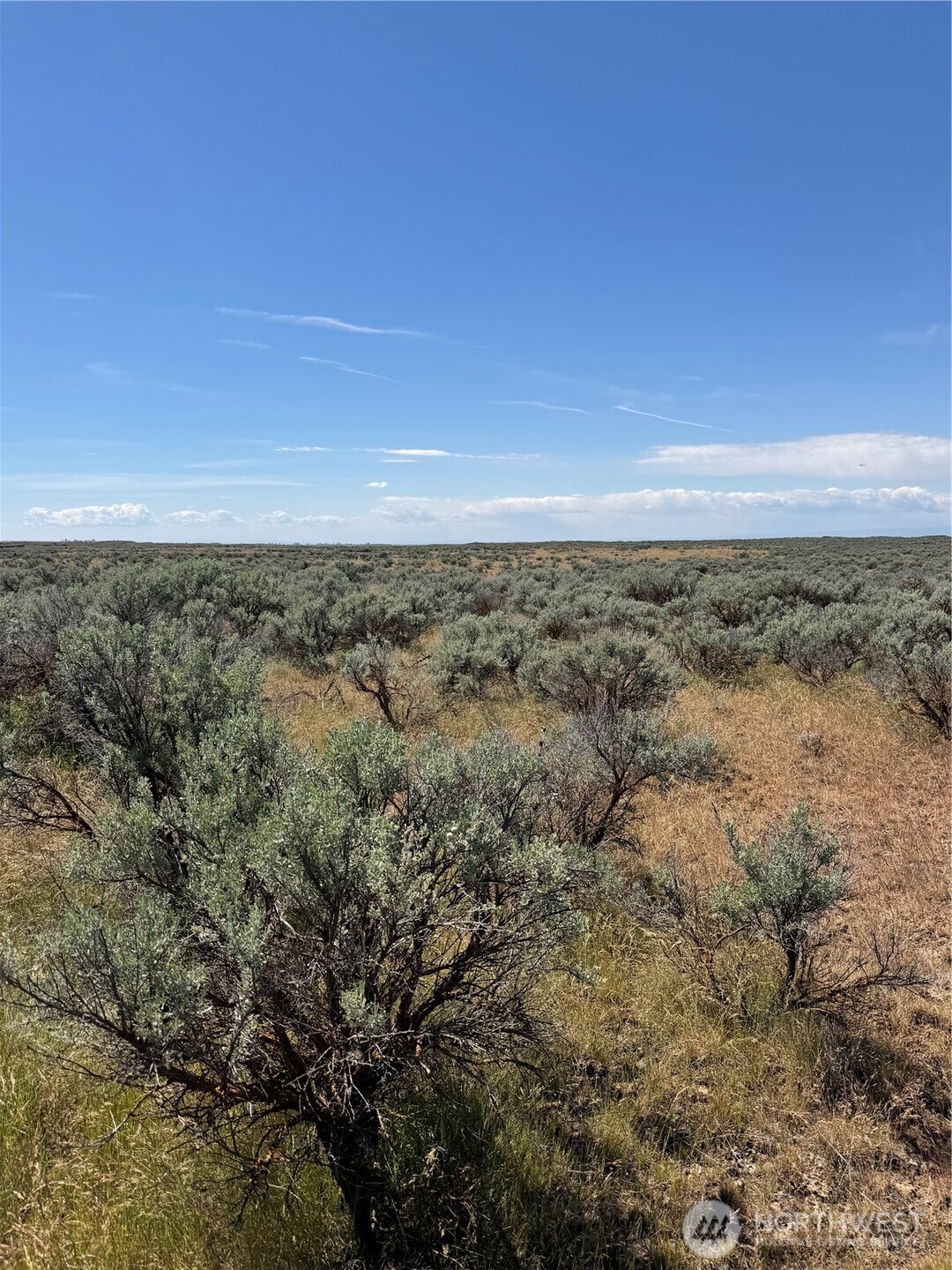 0 Lot 222 Eagle Springs Ranch , Wilson Creek, WA 98860