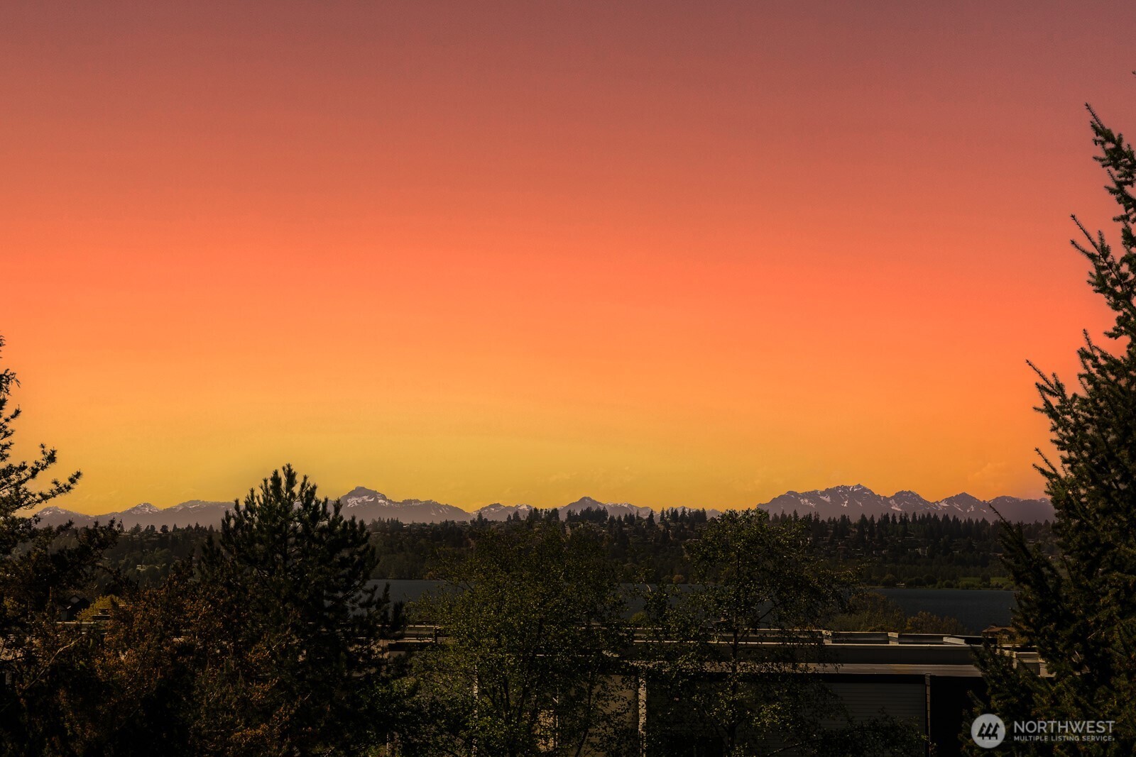 501 Kirkland Avenue #201, Kirkland, WA 98033