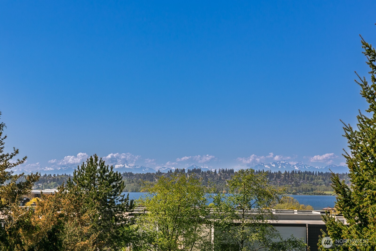 501 Kirkland Avenue #201, Kirkland, WA 98033