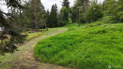 161 Beach Road , Mossyrock, WA 98564 - Photo 4