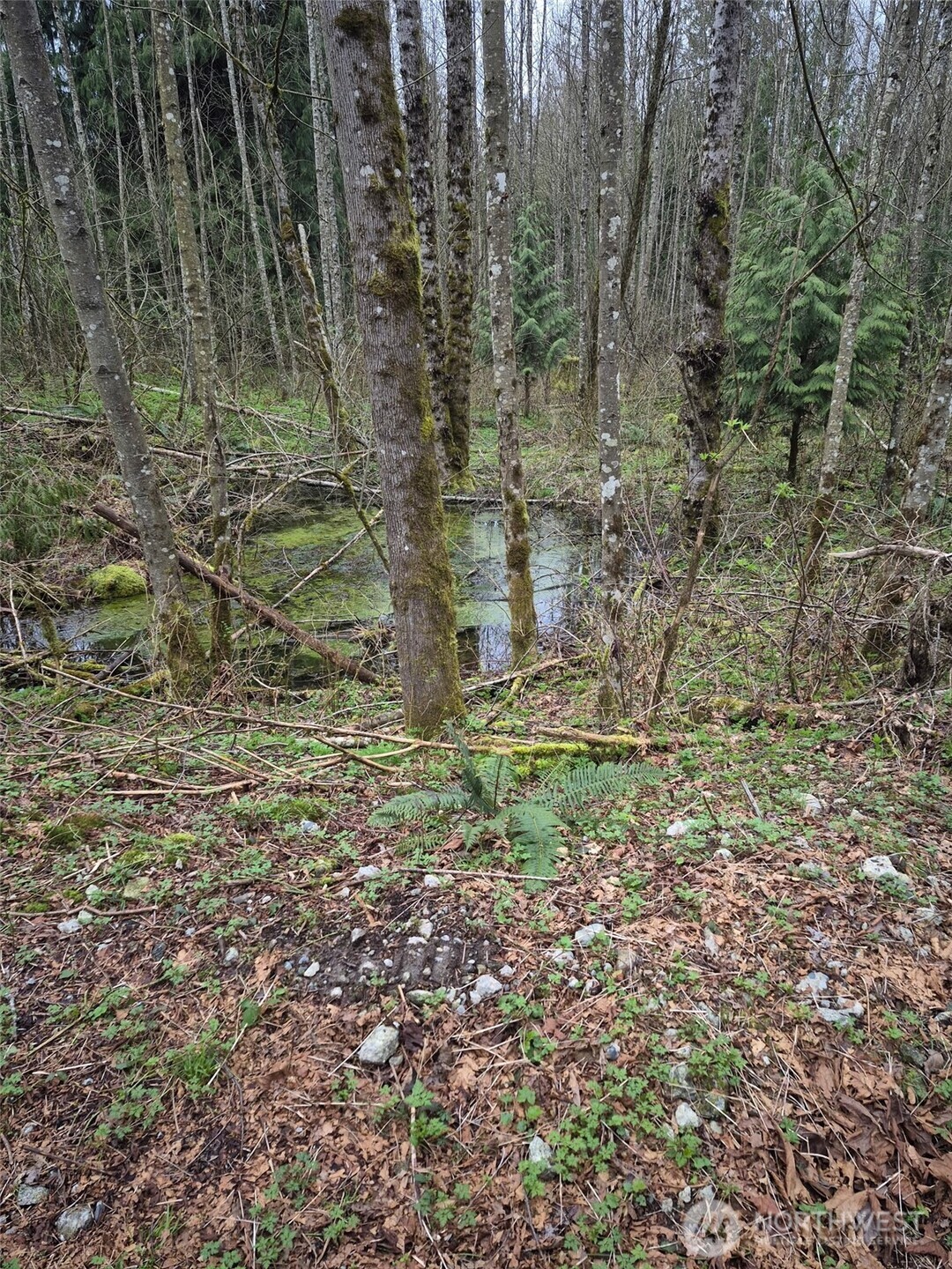 2046 Burk Road , Blaine, WA 98230