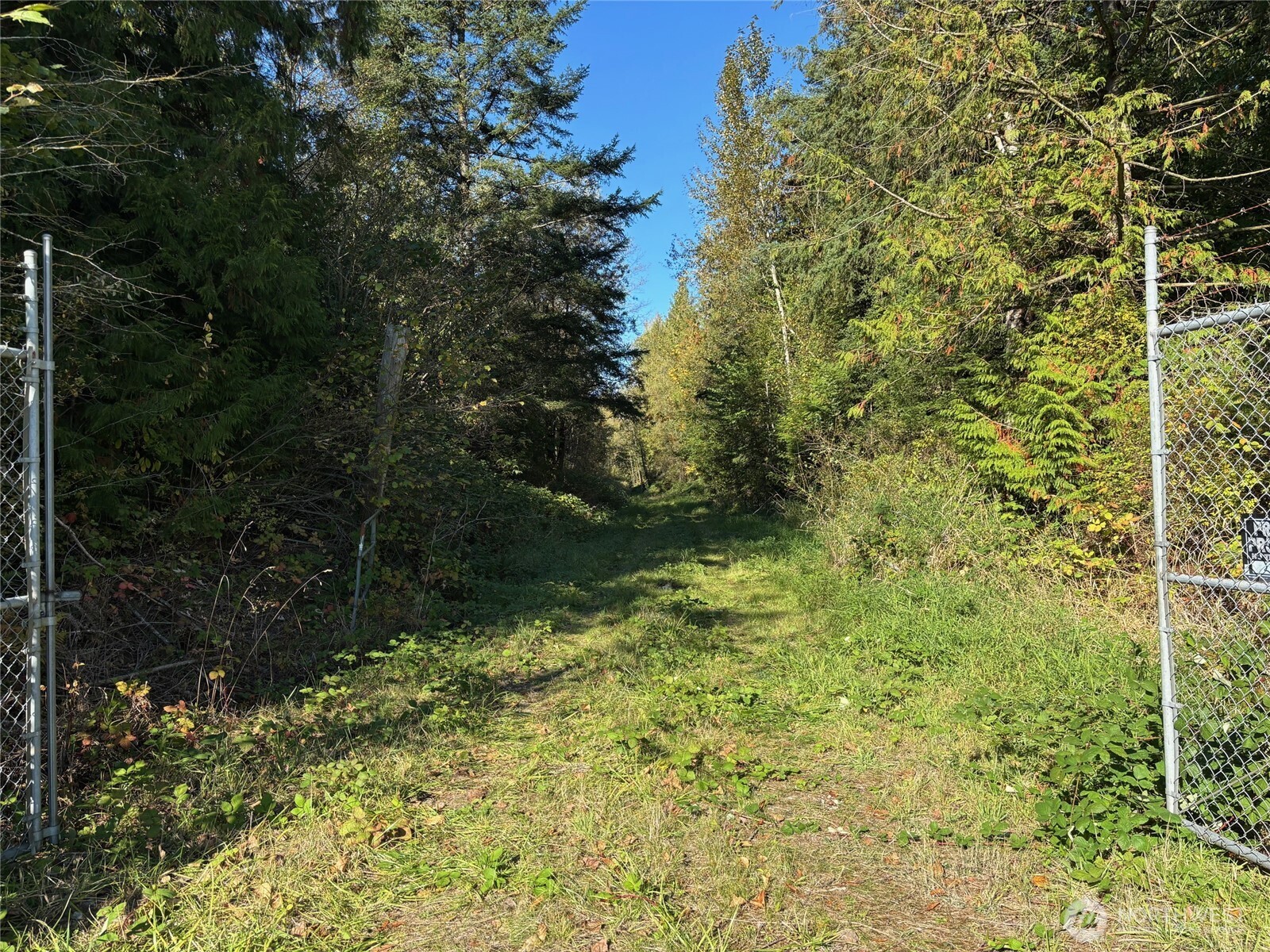 2046 Burk Road , Blaine, WA 98230