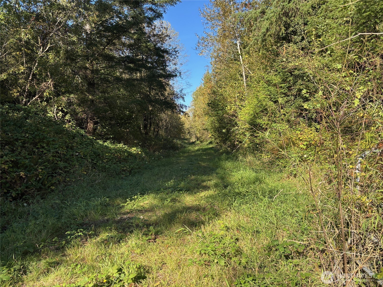 2046 Burk Road , Blaine, WA 98230