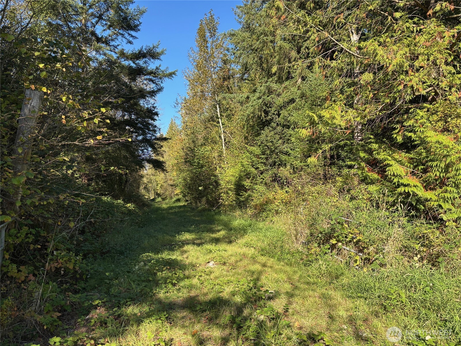 2046 Burk Road , Blaine, WA 98230