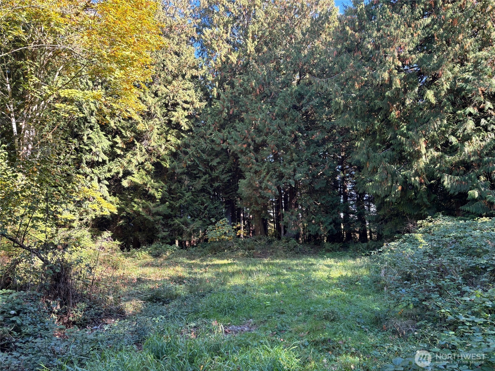 2046 Burk Road , Blaine, WA 98230