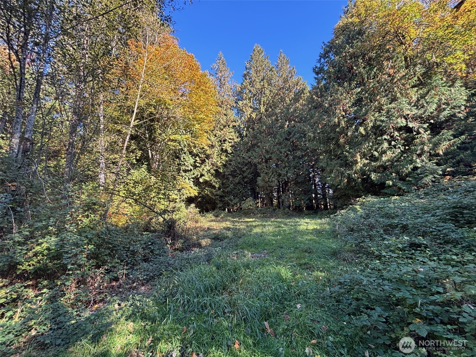 2046 Burk Road , Blaine, WA 98230