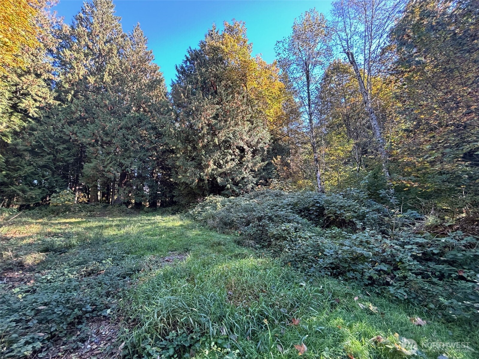 2046 Burk Road , Blaine, WA 98230