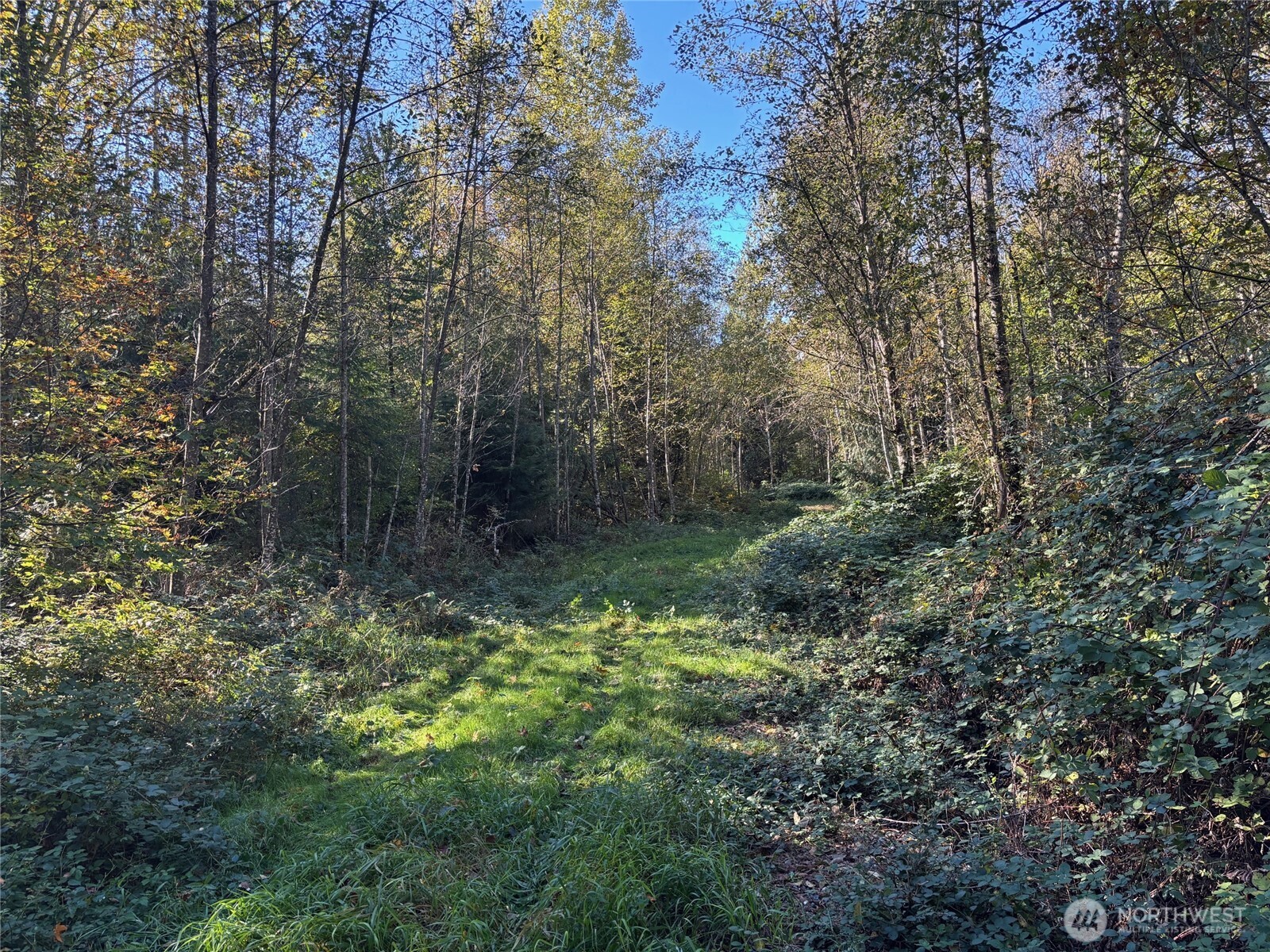 2046 Burk Road , Blaine, WA 98230