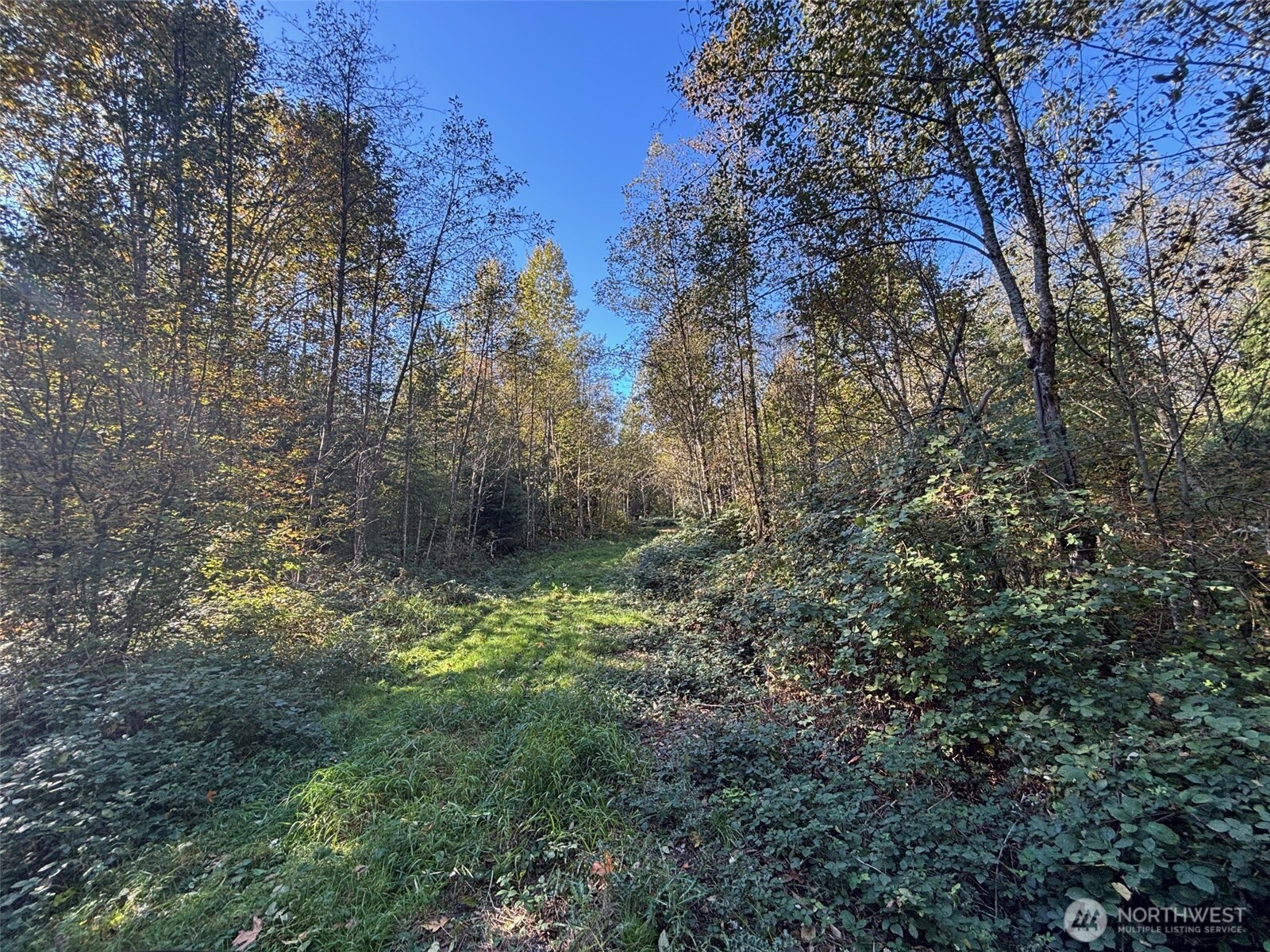 2046 Burk Road , Blaine, WA 98230