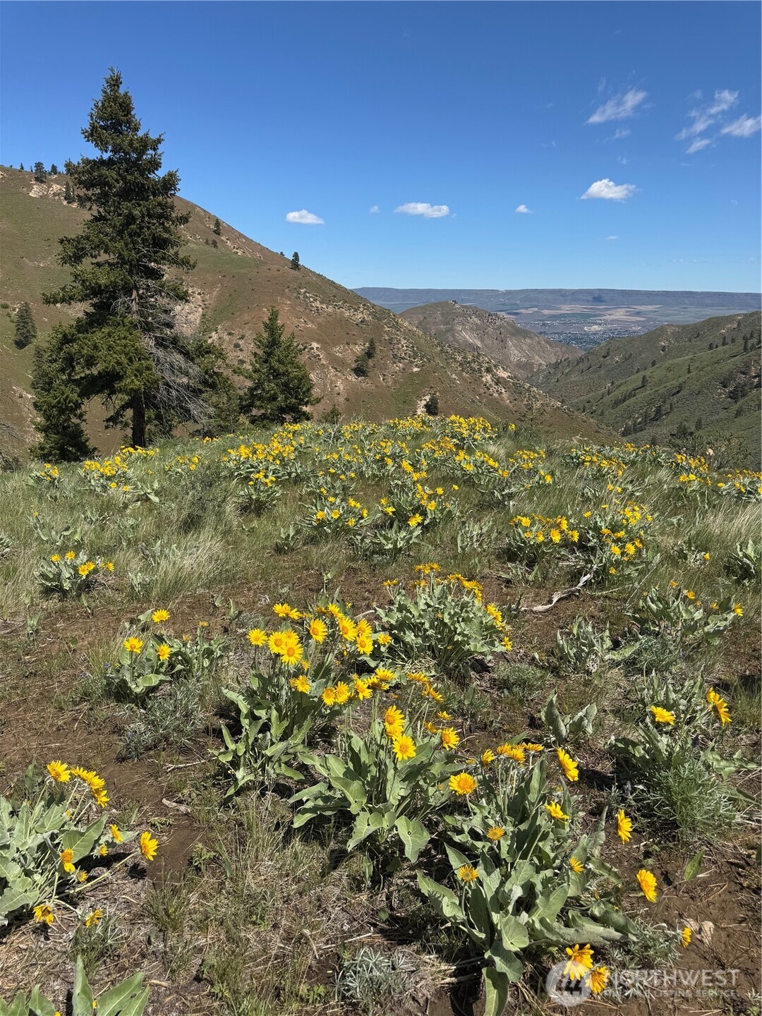 0 Uphill Lane , Wenatchee, WA 98801