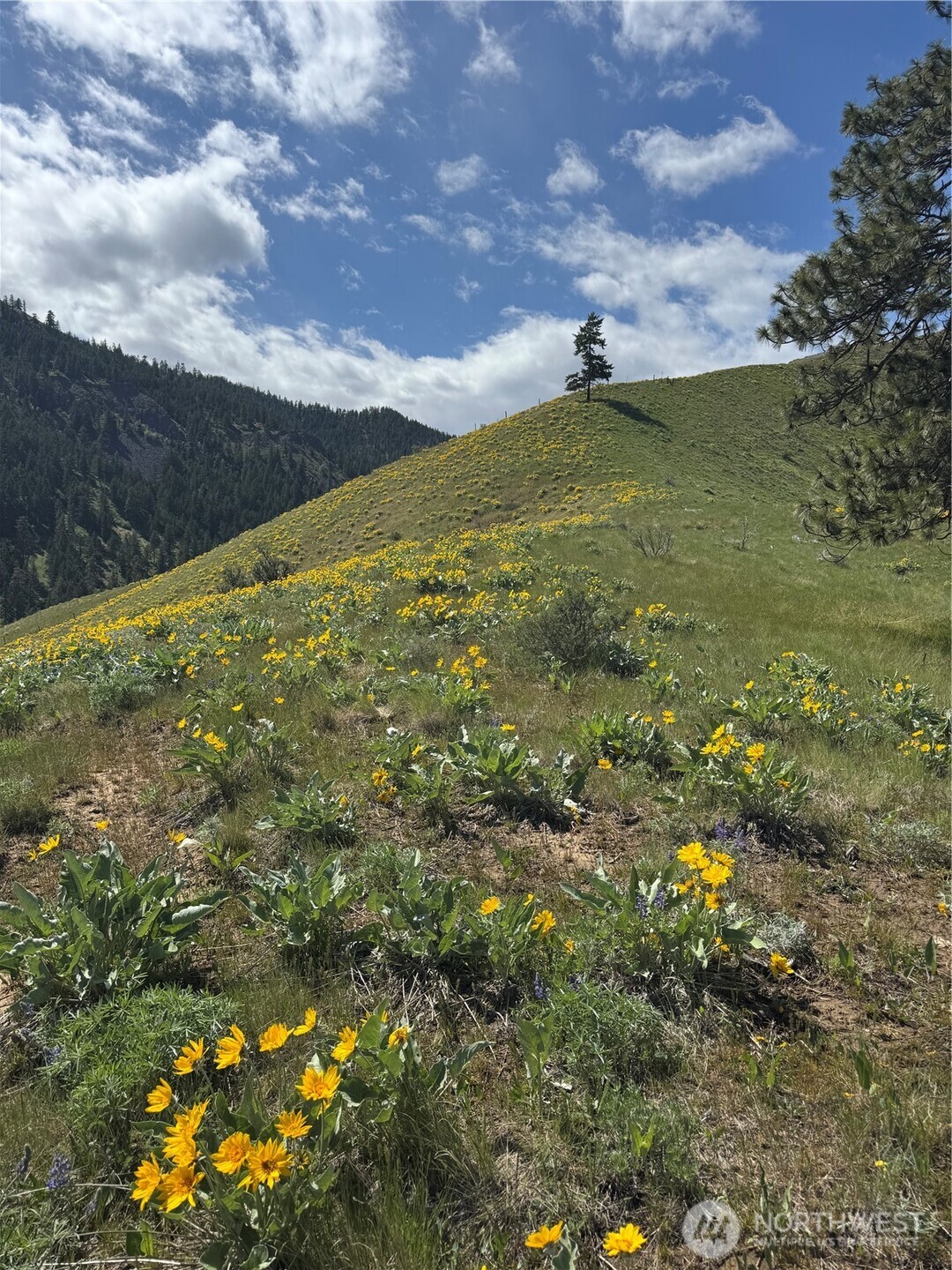 0 Uphill Lane , Wenatchee, WA 98801