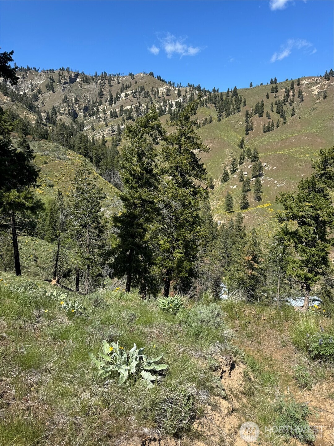 0 Uphill Lane , Wenatchee, WA 98801