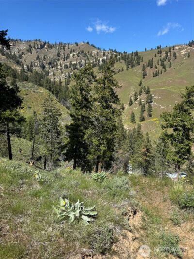 0 Uphill Lane , Wenatchee, WA 98801 - Photo 4