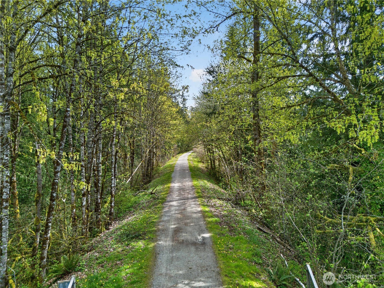23933 SE 238th Street , Maple Valley, WA 98038-8241