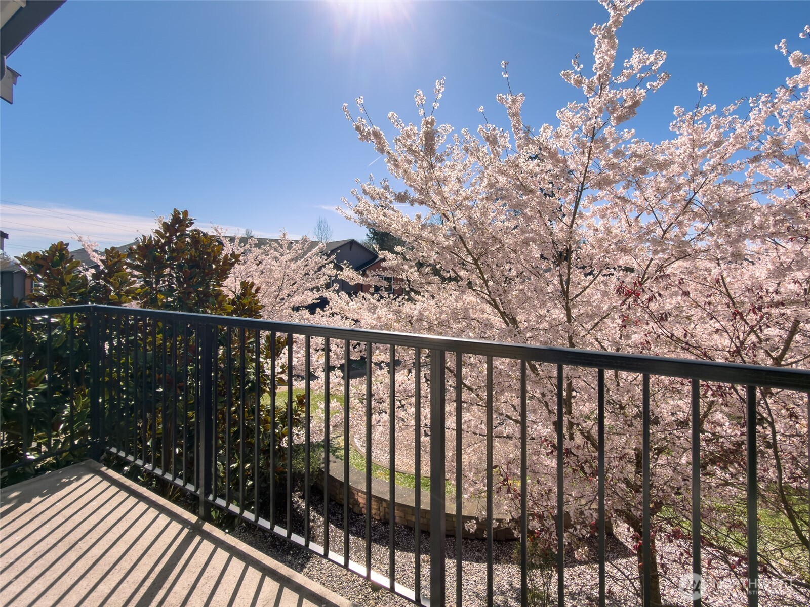 10357 156th Lane NE #101, Redmond, WA 98052