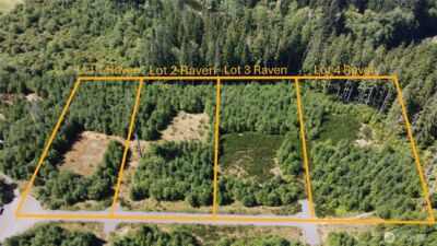 9999 King Johns-Lot 3 Raven Way , Forks, WA 98331 - Photo 2