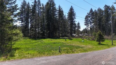 170 W Blackberry Lane , Elma, WA 98541 - Photo 1