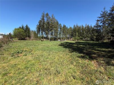 170 W Blackberry Lane , Elma, WA 98541 - Photo 11
