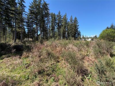 170 W Blackberry Lane , Elma, WA 98541 - Photo 12