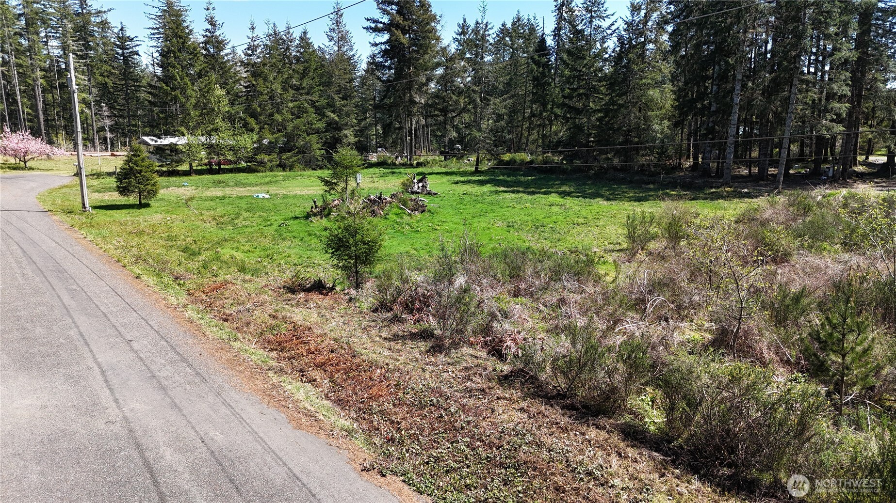 170 W Blackberry Lane , Elma, WA 98541