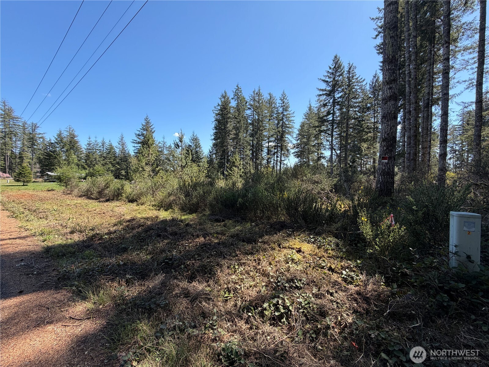 170 W Blackberry Lane , Elma, WA 98541