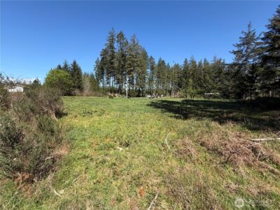 170 W Blackberry Lane , Elma, WA 98541 - Photo 18