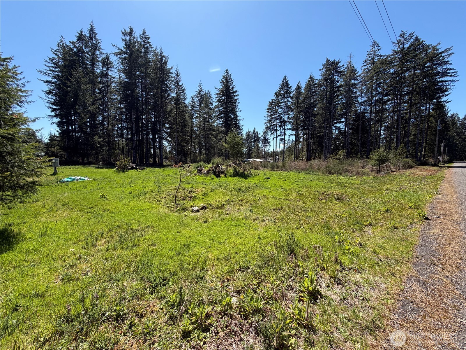 170 W Blackberry Lane , Elma, WA 98541