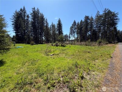 170 W Blackberry Lane , Elma, WA 98541 - Photo 19