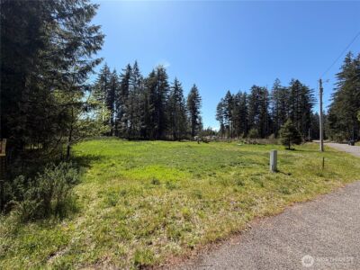 170 W Blackberry Lane , Elma, WA 98541 - Photo 2