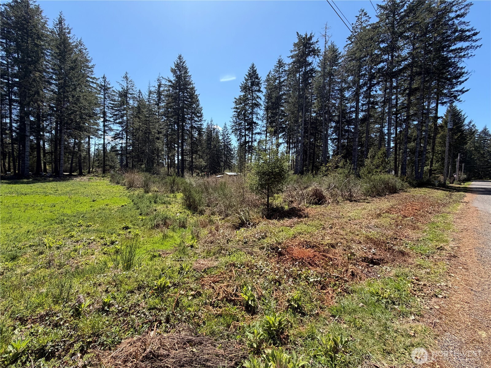 170 W Blackberry Lane , Elma, WA 98541
