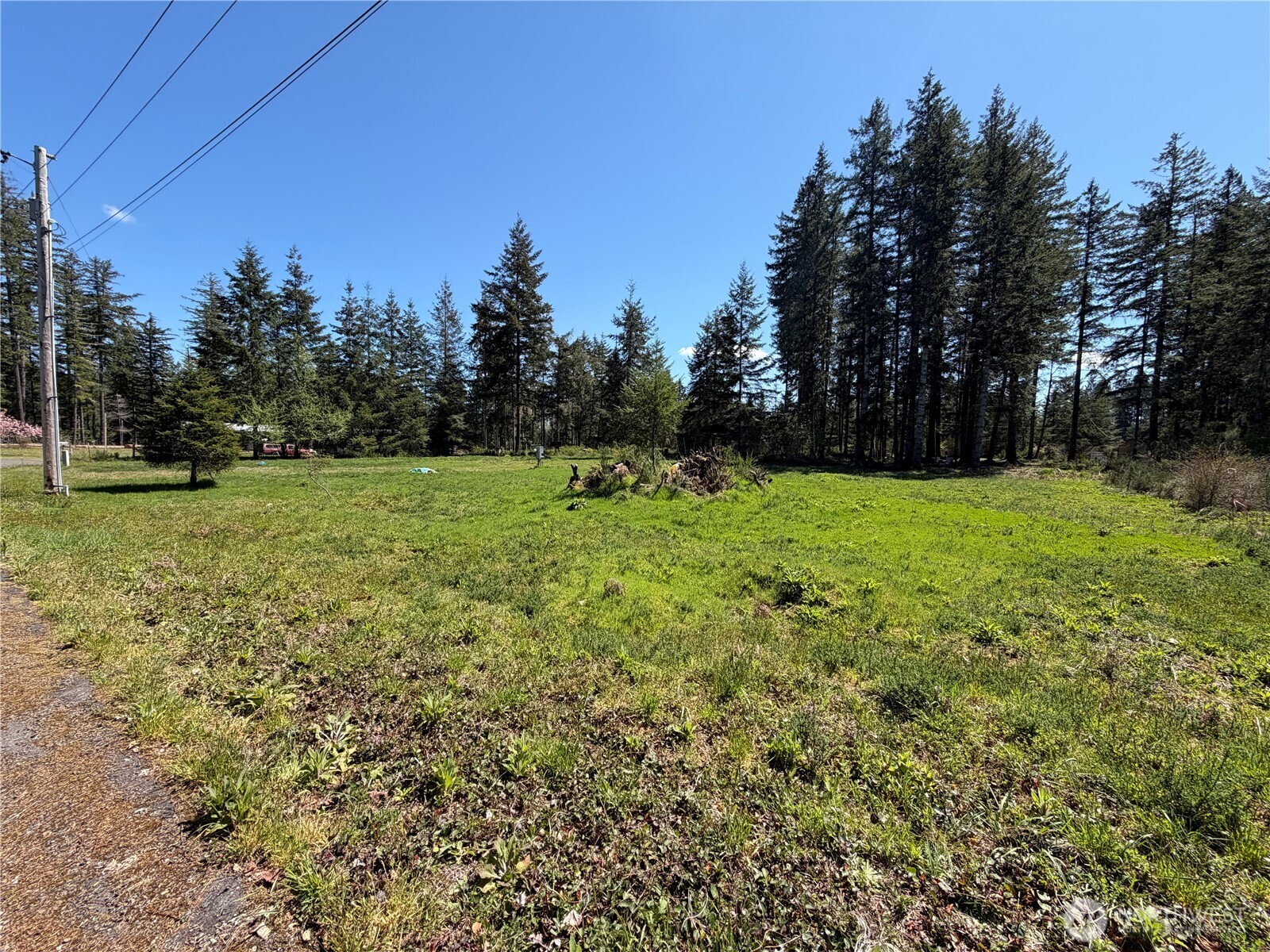 170 W Blackberry Lane , Elma, WA 98541