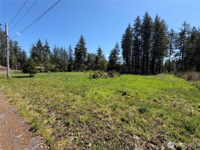 170 W Blackberry Lane , Elma, WA 98541 - Photo 6