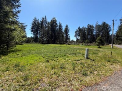 170 W Blackberry Lane , Elma, WA 98541 - Photo 7