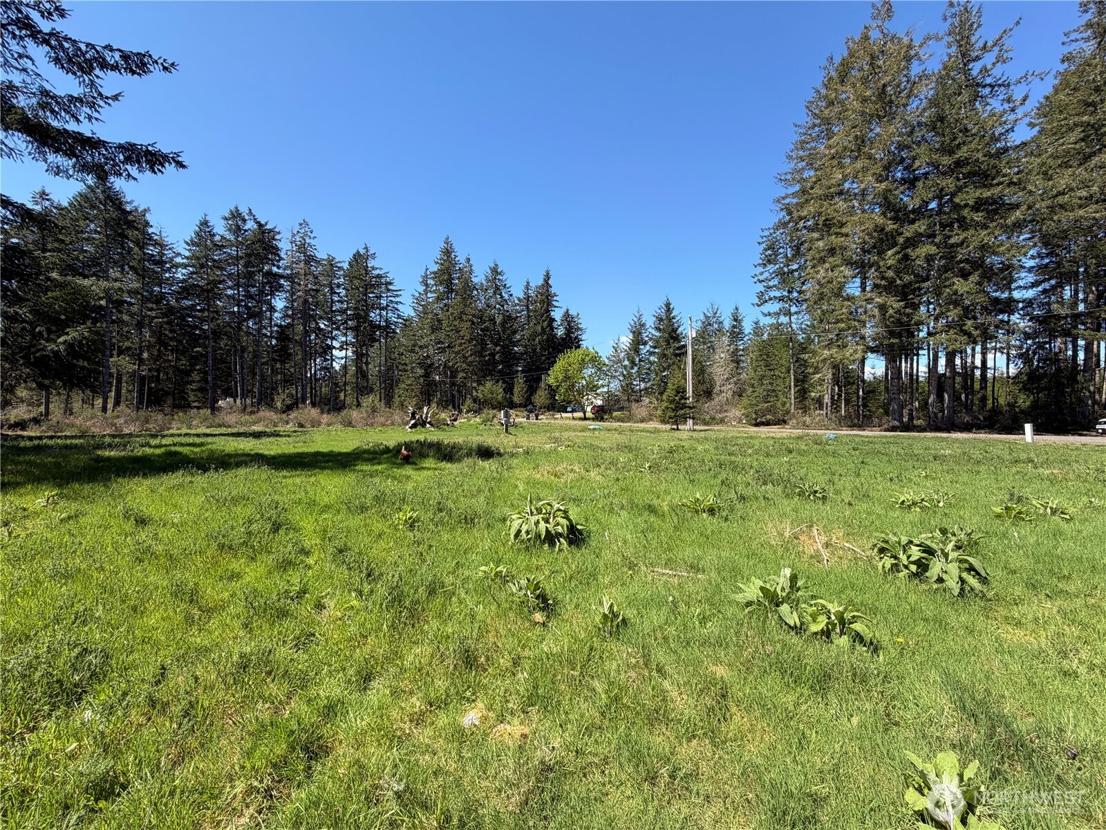 170 W Blackberry Lane , Elma, WA 98541