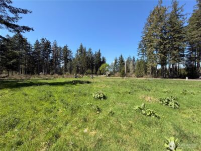 170 W Blackberry Lane , Elma, WA 98541 - Photo 8