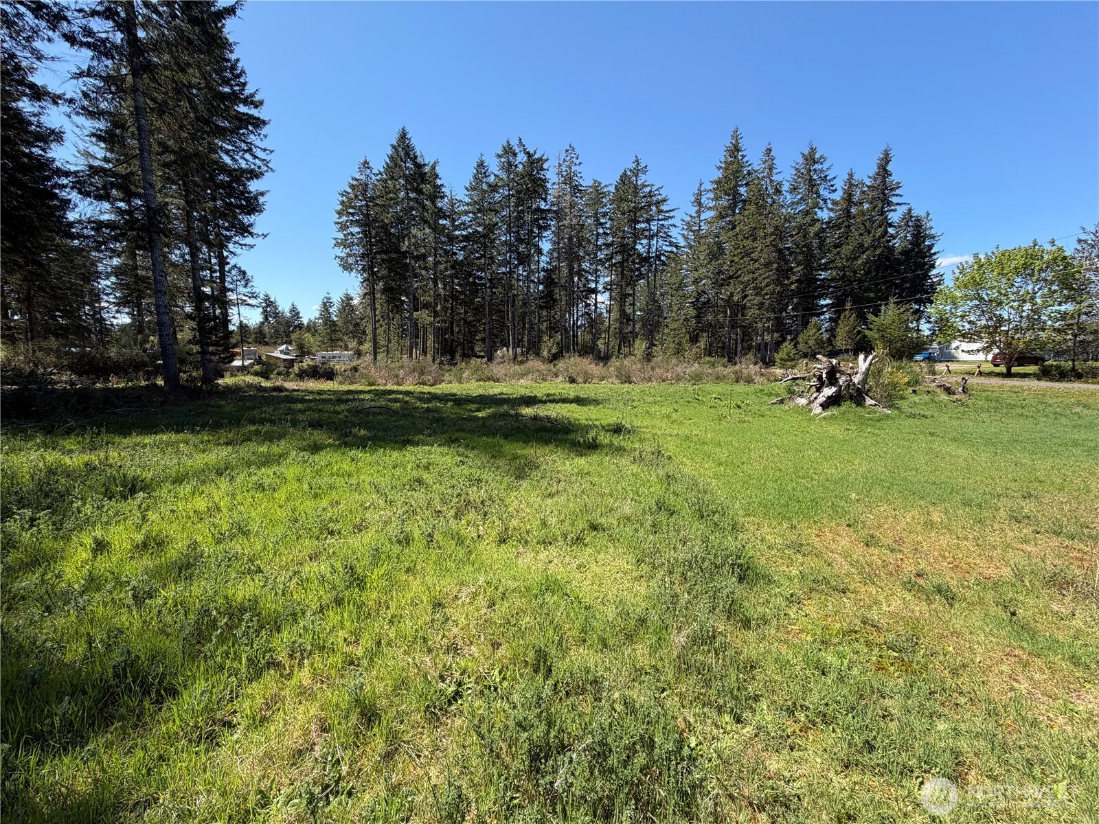 170 W Blackberry Lane , Elma, WA 98541