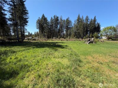 170 W Blackberry Lane , Elma, WA 98541 - Photo 9