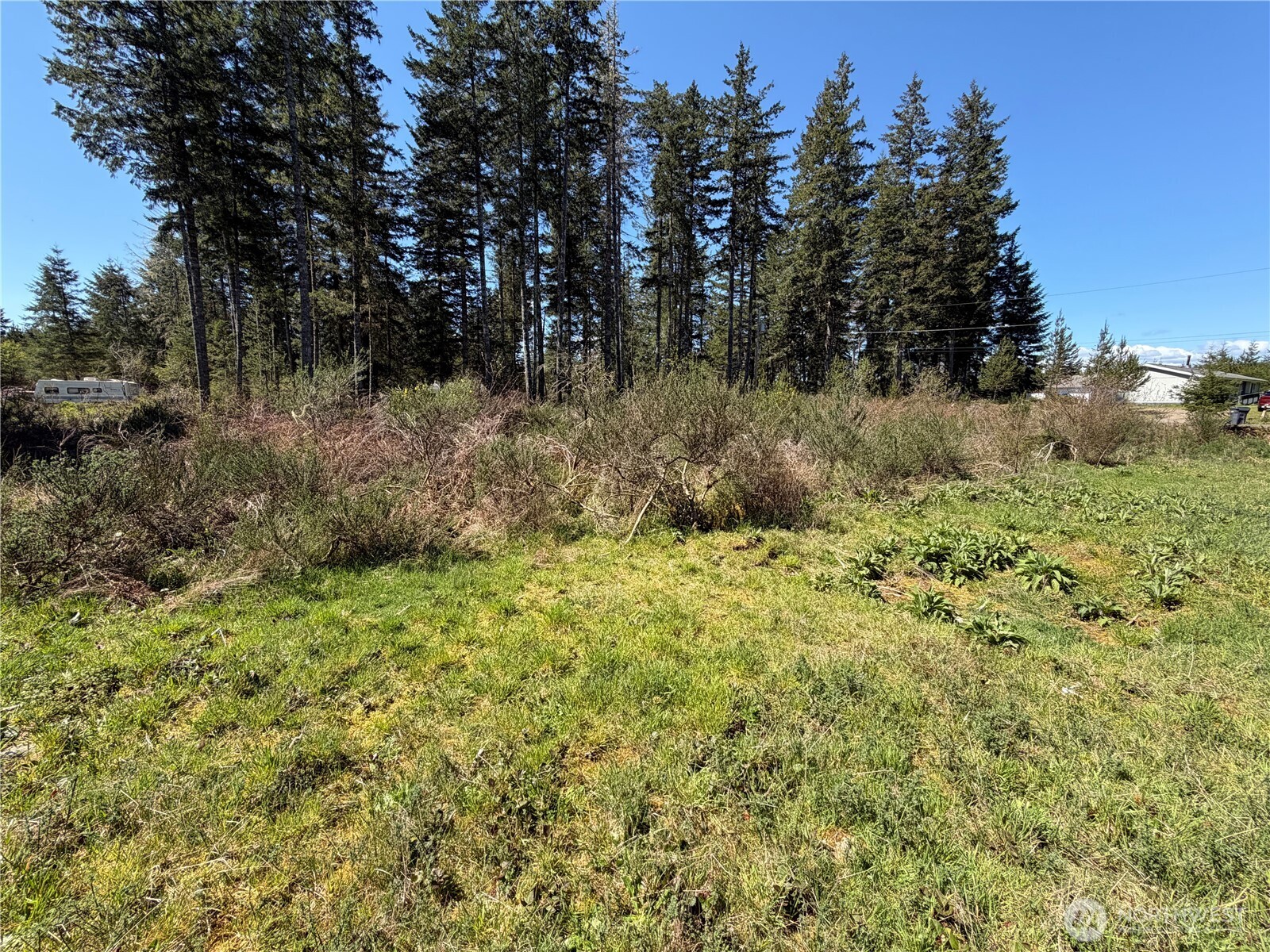 170 W Blackberry Lane , Elma, WA 98541