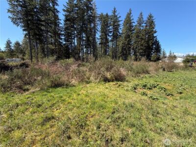 170 W Blackberry Lane , Elma, WA 98541 - Photo 10